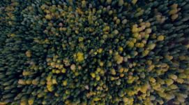 YEDİGÖLLER’DE RENK CÜMBÜŞÜ