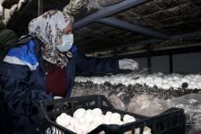 65 YAŞINDA İŞ KADINI OLDU