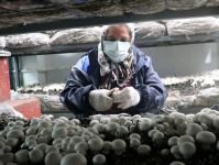 65 YAŞINDA İŞ KADINI OLDU