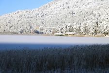 ABANT GÖLÜ BUZ TUTTU !