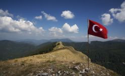 AYI KAYASI BÜYÜLÜYOR....
