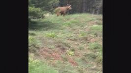 AYILAR MERKEZE İNDİ....