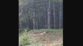 AYILAR MERKEZE İNDİ....