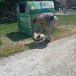 BAYRAMDA HAYVANLAR UNUTULMADI