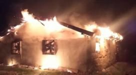 BİNLERCE CİVCİV TELEF OLDU