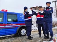 BİTKİN DÜŞEN ŞAHİNE ŞEFKAT ELİ