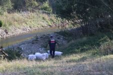 BOLU DAĞI'NDA SICAK ANLAR..
