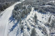 BOLU'DA FIRTINA AĞAÇLARI DEVİRDİ