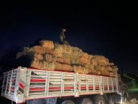 BOLU’DA GENÇLERDEN AFET BÖLGESİNE DESTEK