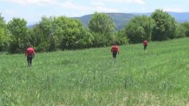 BOLU'DA KAYBOLAN ADAM ARANIYOR
