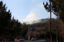 BOLU'DA ORMANLIK ALANDA YANGIN!