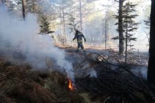 BOLU'DA ORMANLIK ALANDA YANGIN!