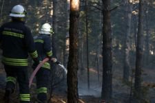 BOLU'DA ORMANLIK ALANDA YANGIN!