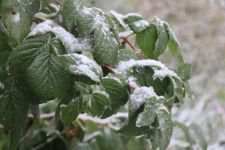 BOLU'YA YILIN İLK KARI YAĞDI