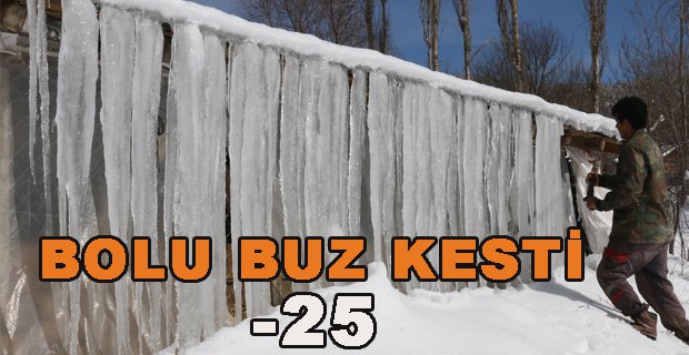 BOLU BUZ KESTİ