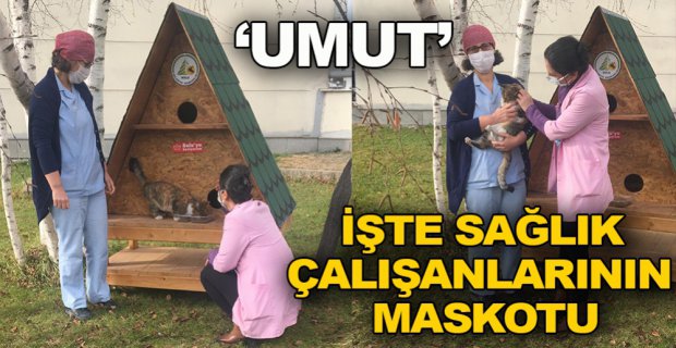 SEVİMLİ KEDİ SAĞLIK ÇALIŞANLARININ MASKOTU