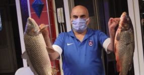 DEV SAZANLARIN FİYATI ŞAŞIRTIYOR