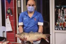 DEV SAZANLARIN FİYATI ŞAŞIRTIYOR