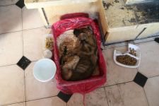 DONMAK ÜZERE OLAN KÖPEĞİ SAHİPLENDİ
