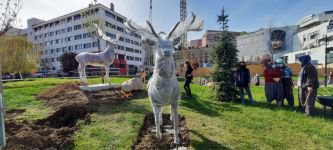 GEYİKLER MEYDANI SÜSLEDİ