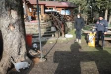 GÖLCÜK'TE SOKAK HAYVANLARI UNUTULMADI