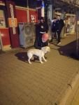 GÖRENLERİN VİCDANI SIZLADI