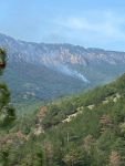 GÖYNÜK'TE KORKUTAN ORMAN YANGINI