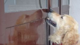 HERKES ONU KONUŞUYOR