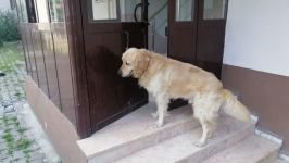 HERKES ONU KONUŞUYOR