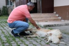 HERKES ONU KONUŞUYOR