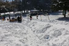 ABANT'TA İN CİN TOP OYNUYOR...