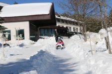 ABANT'TA İN CİN TOP OYNUYOR...