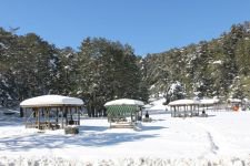 ABANT'TA İN CİN TOP OYNUYOR...