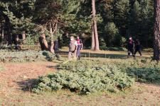 JANDARMA ORMANLARDA KUŞ UÇURTMUYOR