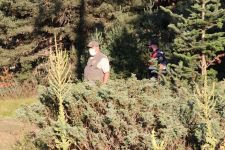 JANDARMA ORMANLARDA KUŞ UÇURTMUYOR