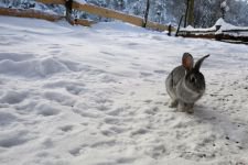 "KAR YAĞIŞI BİZİ MEMNUN ETTİ"