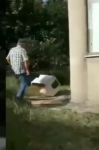 KEDİYİ TEKMELEDİ, KULÜBESİNİ PARÇALADI