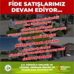 BELEDİYENİN FİDE SATIŞLARI DEVAM EDİYOR