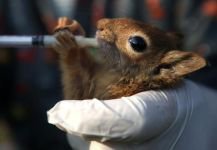 KOMŞUDAN YÜREK ISITAN HABER