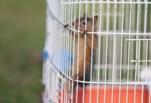 KOMŞUDAN YÜREK ISITAN HABER