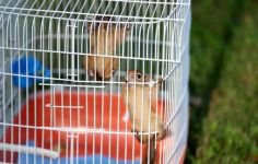 KOMŞUDAN YÜREK ISITAN HABER