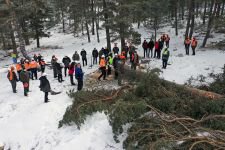 ORMANLIK ALAN SAYISINDA REKOR BÜYÜME