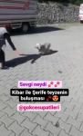 ŞERİFE TEYZE KİBAR’A KAVUŞTU