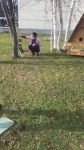 SEVİMLİ KEDİ SAĞLIK ÇALIŞANLARININ MASKOTU