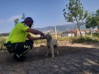 SON GÜNLERİN EN İNCE DAVRANIŞI
