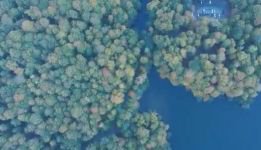 YEDİGÖLLER'DE MUHTEŞEM SONBAHAR HAVASI