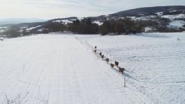 YEMLENEN ATLAR BÖYLE GÖRÜNTÜLENDİ