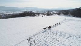 YEMLENEN ATLAR BÖYLE GÖRÜNTÜLENDİ