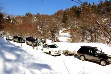 YILKI ATLARINA YEM BIRAKILDI