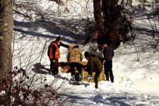 YILKI ATLARINA YEM BIRAKILDI